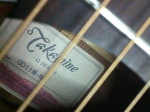 Takamine Guitarra Acústica Folk Gd11m Ns..
