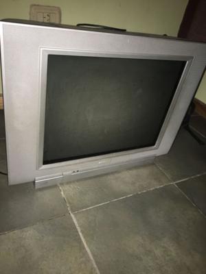 Televisor Philips de 21 pulgadas, más control, a color