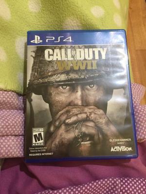 Call Of Duty WW2 (físico) (ps4)