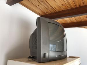 Televisor philips con soporte