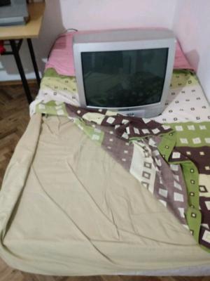 Tv color 20" Philco + Sommiers plaza y media