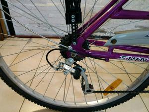 Bicicleta tipo ingles de paseo aluminio cambios amortiguador