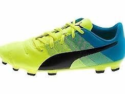 Botines puma evopowerd