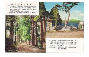 Postal Vintage Japon Calle Cryptometria Ruinas Hakone