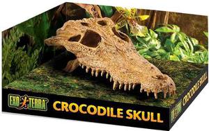 Refugio Para Reptiles Exo Terra Crocodile Skull