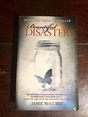 Beautiful disaster libro