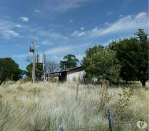 Granja avícola pollos 4 Has arbolado galpón alambrado casa