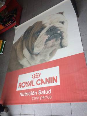 Cortinas Roller Royal Canin