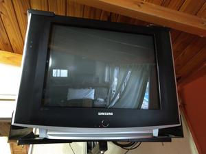 TV SAMSUNG 29 con soporte para colgar