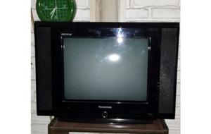 VENDO TV TONOMAC PANTALLA PLANA 21 PULGADASS