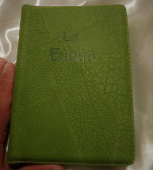 Biblia Lenguaje Actual Mediana Cierre Y Letra Grande