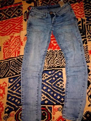 Jean levis 24