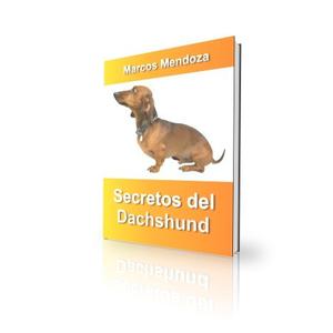 Secretos Dachshund O Salchicha Adiestramiento (electronico)