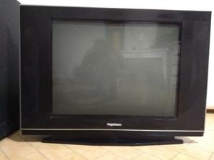 Televisor 29 pulgadas pantalla plana