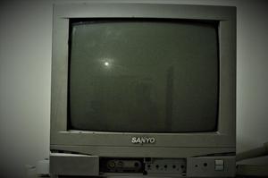 Televisor a color SANYO 14 pulgadas