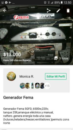 Vendo generador Fema