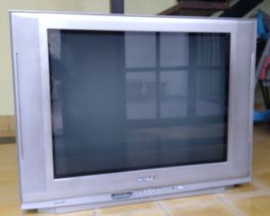 TV 29 pantalla plana Noblex, con control impecable