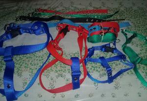 COLLARES CORREAS Y PRETALES