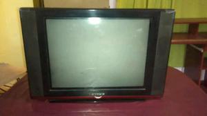 Televisor ranser 21