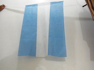 Bandera Argentina, Mundial Rusia 70cm X 1 Mts