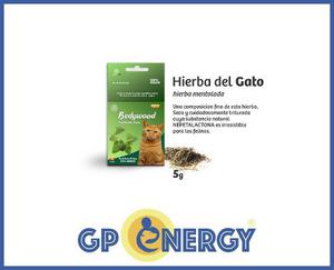 Hierba Mentolada Para Gato | 100% Natural | Bedywood