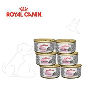 Royal Canin 6 Latas Baby Cat Y 6 Latas Kitten
