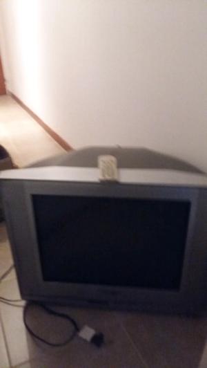 VENDO TELEVISOR NOBLEX