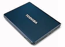 Notebook Toshiba L305D-S - Usada - Impecable