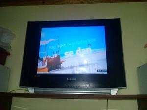 Televisor Samsung 21", pantalla plana tubo, control,