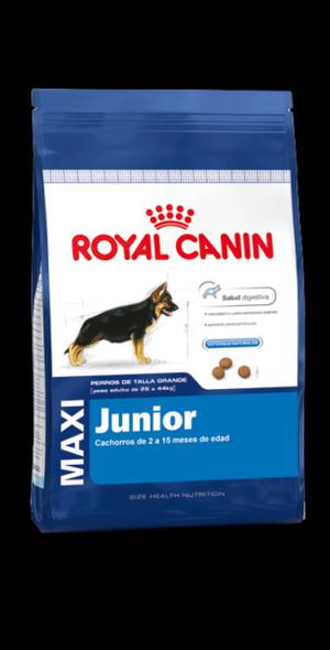 Royal Canin Maxi Junior x15