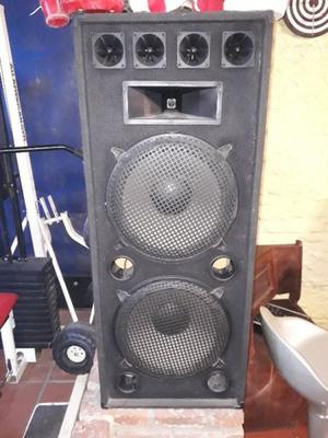 columna con 2 baffles y potencia moon pm-60 vendo urgente