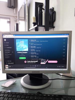 monitor samnsung 17"