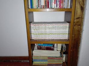 Vendo hermosa biblioteca con más de 100 libros!