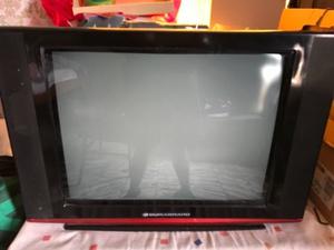 Vendo televisor 21’