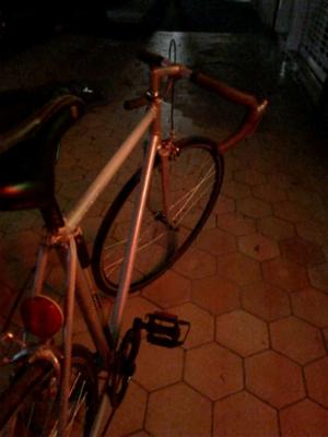 Fixie rod 28