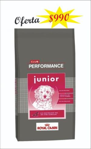 Royal Canin Club Performance Junior/ cachorro 15 kg O F E R