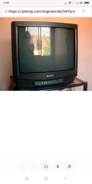 Televisor Sony 21 pulgadas