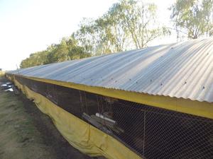 Galpones en venta
