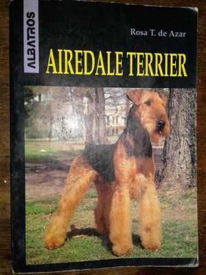Airedale Terrier Rosa T. De Azar Ah5