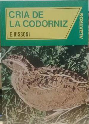 E. Bissoni - Cria De La Codorniz