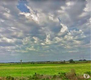 6.5 hectáreas campito ruta 14 concepción del Uruguay