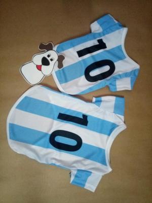 Camiseta/ponchito selección ARGENTINA para tu mascota