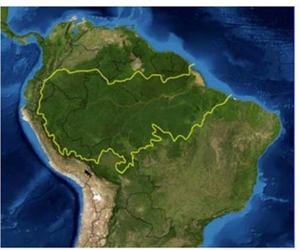 Demo Privado Amazonas 61w Starone 70w Muy Estable