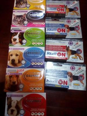 pipetas, perros, gatos, collares antipulgas etc.