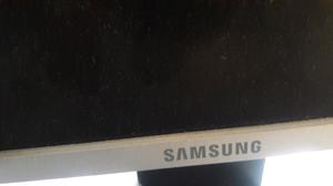 Monitor 19 Samsung impecable