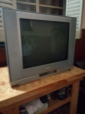 OPORTUNIDAD TV SANYO 21