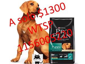 Pro Plan puppy 15 kg