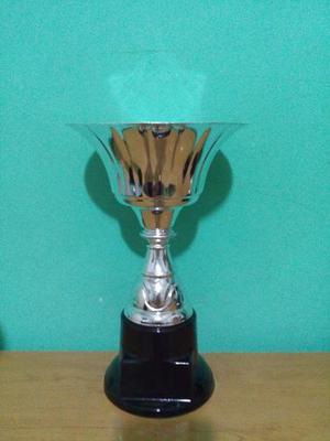 Trofeo Copa Metal Base Plastica 20cm Altura. Trofeoshm