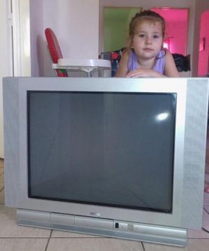 TELEVISOR 29" PANTALLA PLANA