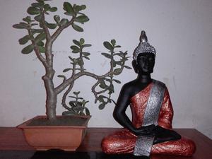 Vendo Buda Sentado Oferta $300